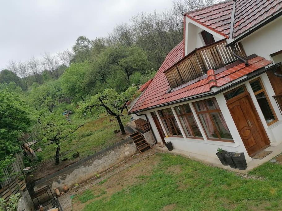 Casandi Ciresu Exterior foto